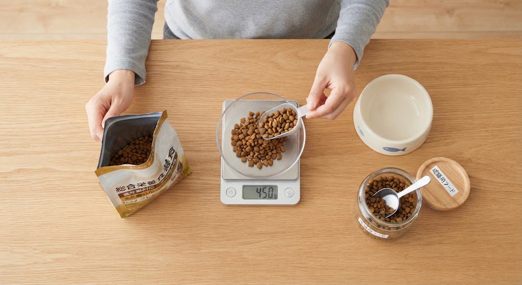 【年齢別】猫のご飯の回数と時間の目安に関連する猫の食事準備